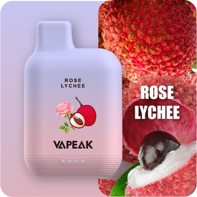 5000 uzpūtienu 15 ml E-Liquid Vape Pod